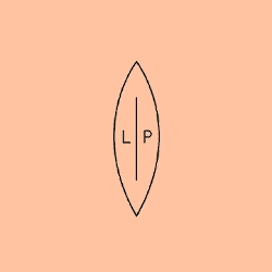 Lip Intimate Care Logo