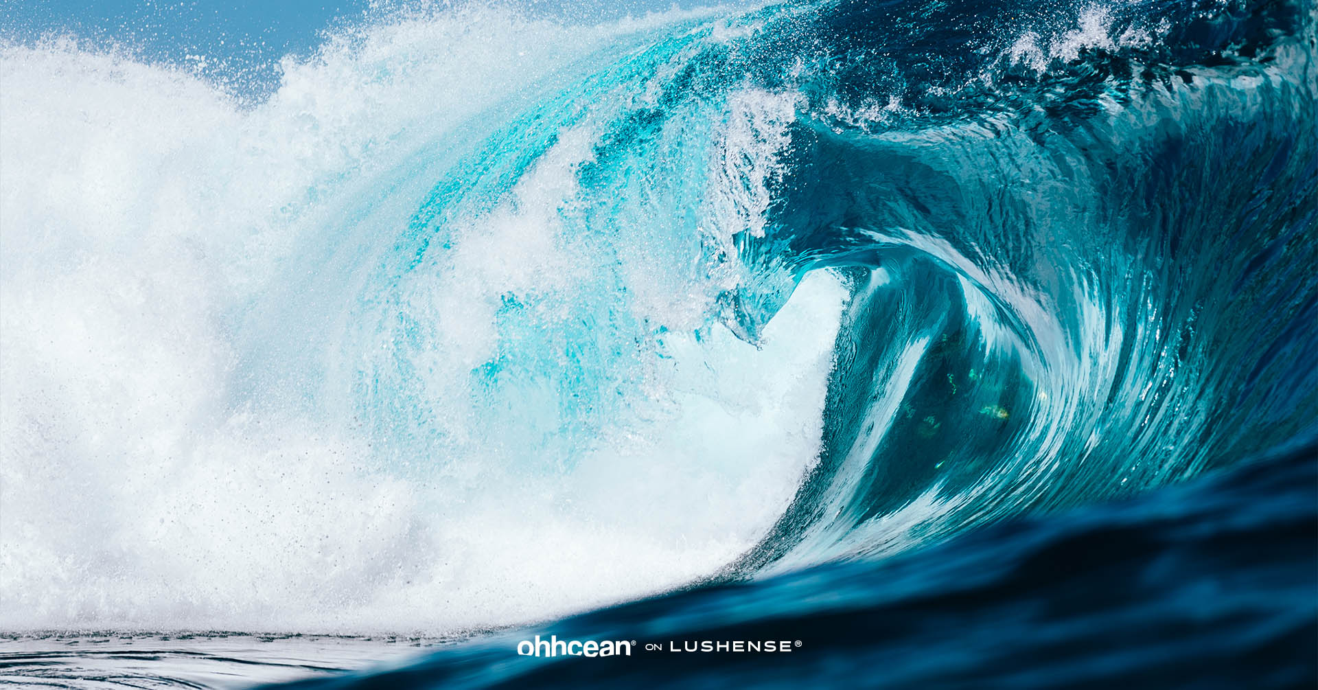 Black Friday Sale Up To 80% Off