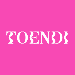 Toendi Logo