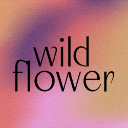 Wild Flower Logo